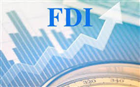 2020年1月份FDI新注册金额达45亿美元，增长450%